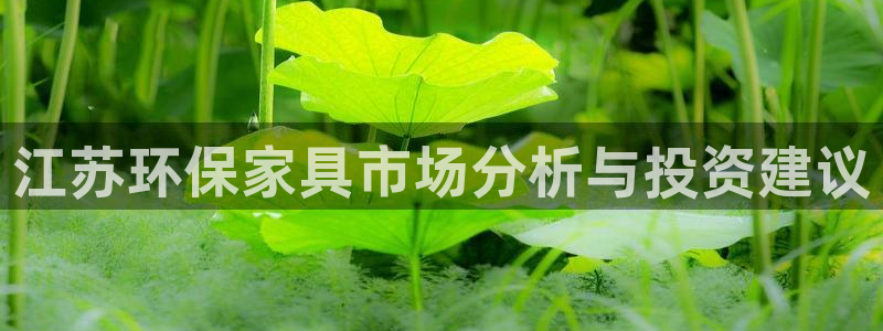 意昂5(KGAME)官网登录：江苏环保家具市场分析与投资建议