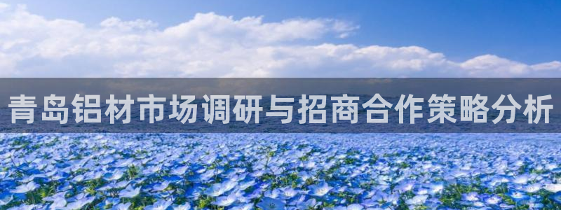 意昂5(KGAME)平台已7O777：青岛铝材市场调研与招商