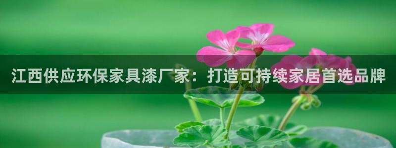 意昂5(KGAME)平台客服：江西供应环保家具漆厂家：打造可