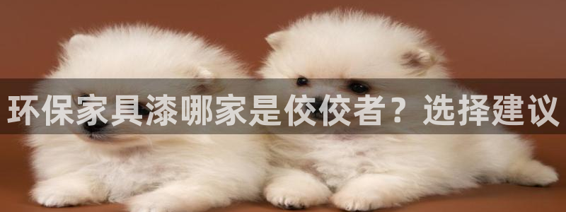 意昂5(KGAME)平台测速地址：环保家具漆哪家是佼佼者？选