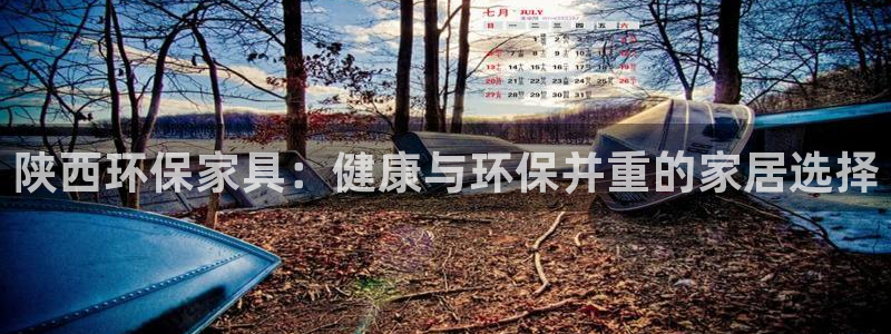 意昂5(KGAME)登陆网站：陕西环保家具：健康与环保并重的