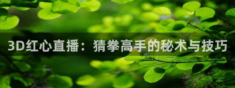 360直播足球直播