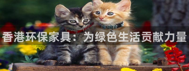 意昂5(KGAME)登陆电脑线路测速：香港环保家具：为绿色生