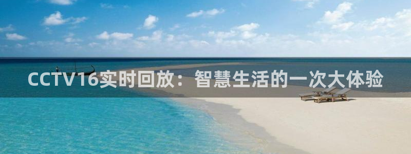 360体育免费直播在线观看：CCTV16实时回放：智慧生活的一次大体验