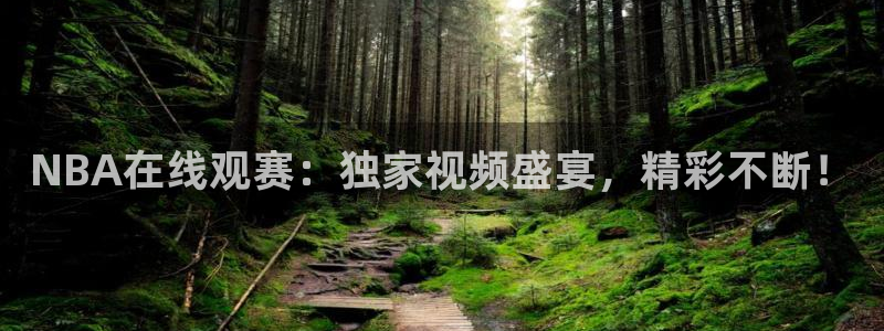 360直播足球直播平台：NBA在线观赛：独家视频盛宴，精彩不断！