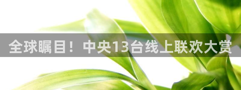 雨燕360体育免费直播链接：全球瞩目！中央13台线上联欢大赏