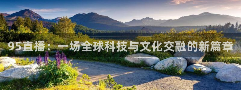 360足球视频直播：95直播：一场全球科技与文化交融的新篇章